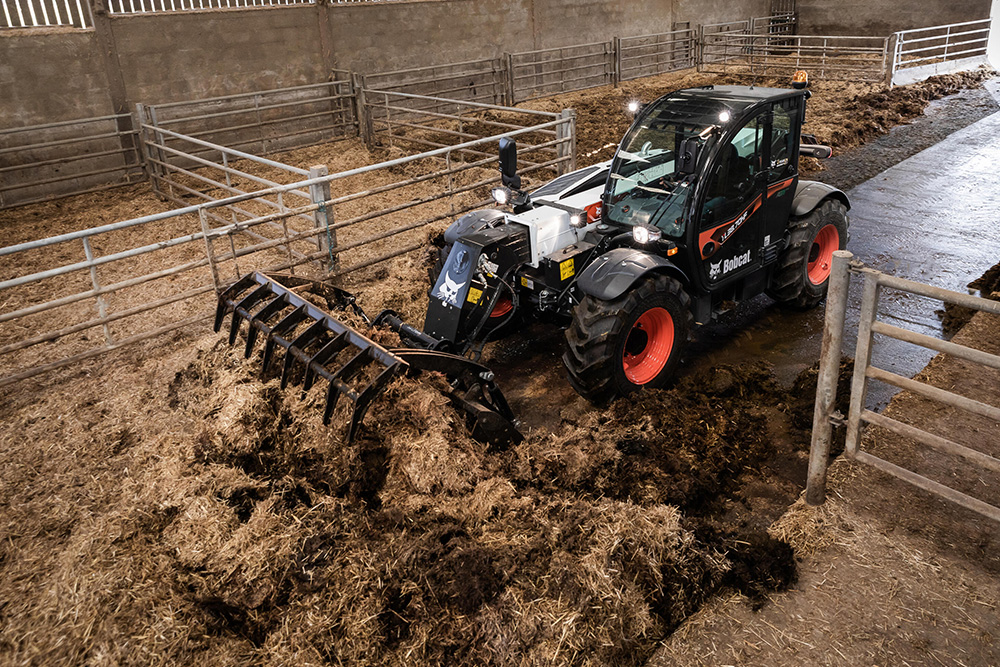 bobcat category image