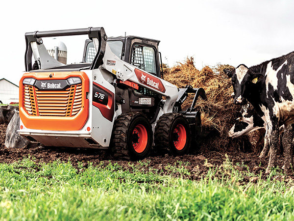 bobcat category image